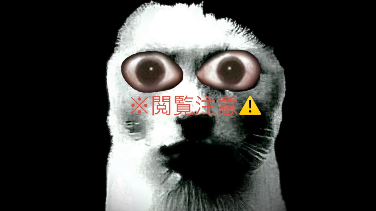 縺溘□縺ｮ繝阪ち蜍慕判