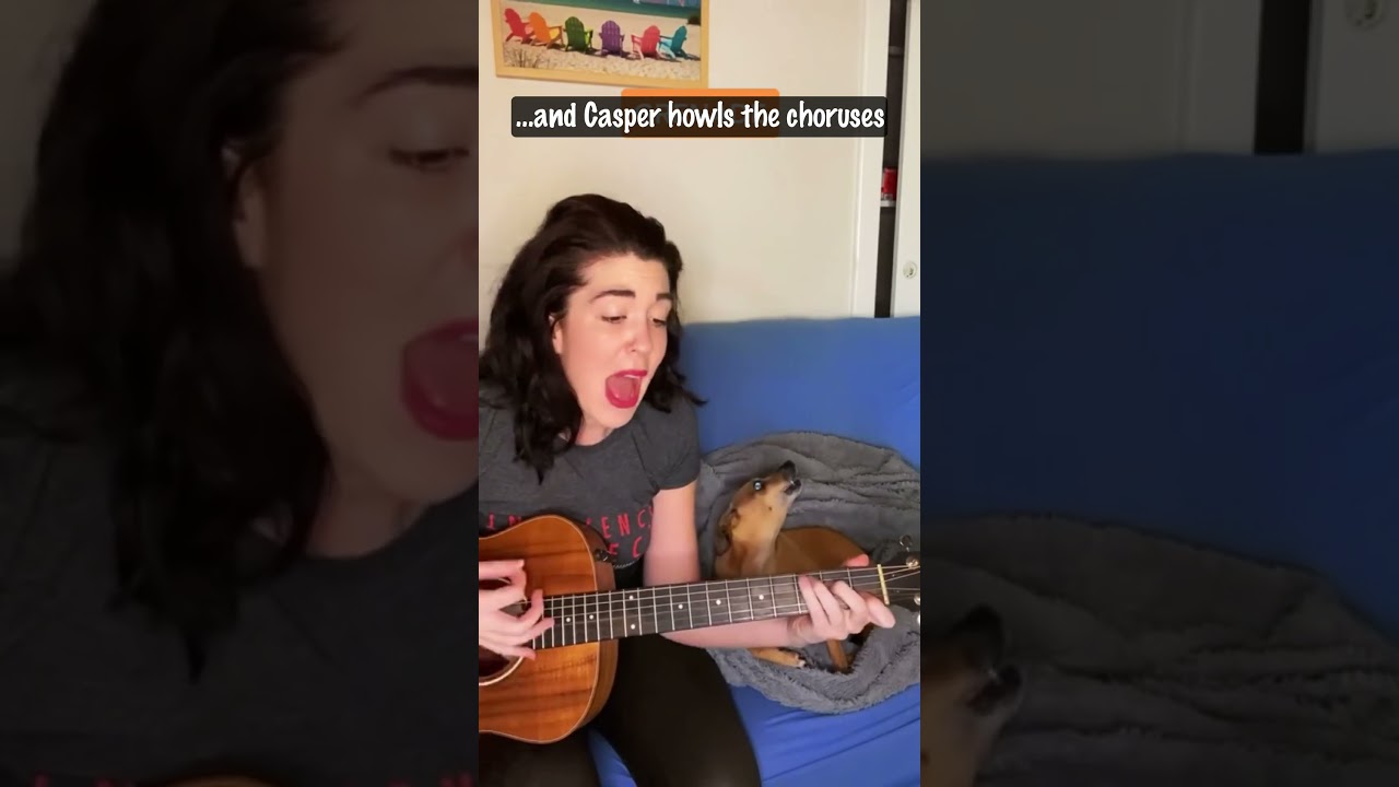 Dog Steals the Show from His Musician Mom 🎤😂 | Casper the Singing Pup Goes Viral!