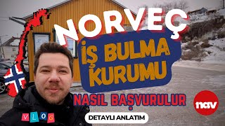 NORVEÇ'TE İŞ BULMAK !! | NORVEÇ İŞ BULMA KURUMU #norveç