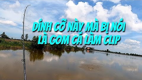 Câu cá lóc mùa lũ ( P59 ). Cá ăn thấy mê.Thợ săn cá lóc.
