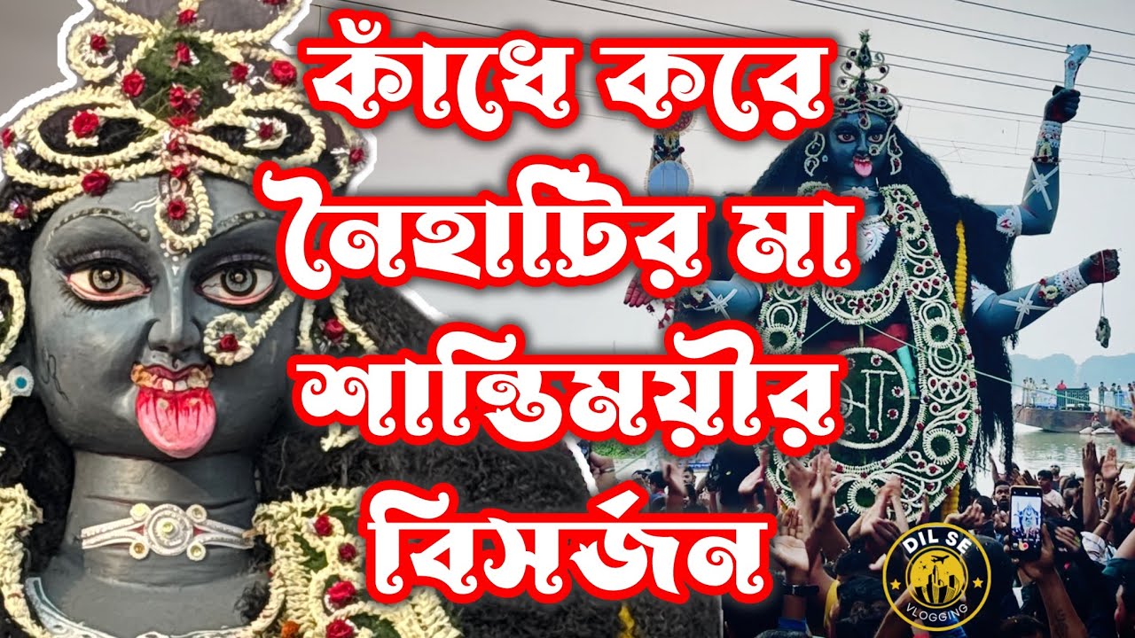 Naihati Maa Shantimoyee Visarjan 2024 🌺 Kodom Kali Visarjan 🌺 মা শান্তিময়ীর 🌺 DilSeVlogging