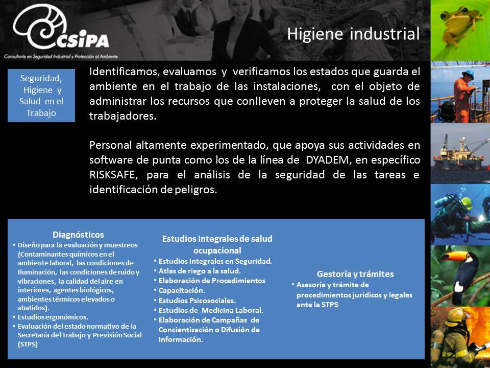 Presentación CSIPA (version general) - YouTube