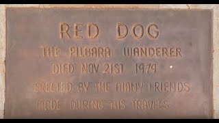 Remembering Red Dog and Koko