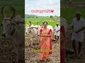 पुराने ज़माने की असली खेती🚜🌾जब ट्रैक्टर नहीं थे तब ऐसे होती थी जुताई🤯 #shorts #farming #khetibadi