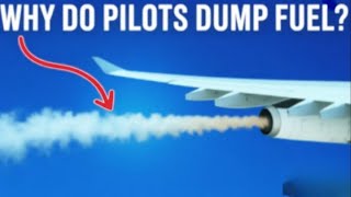 The Most Unbelievable Air Travel Facts You Were Never Meant to Hear