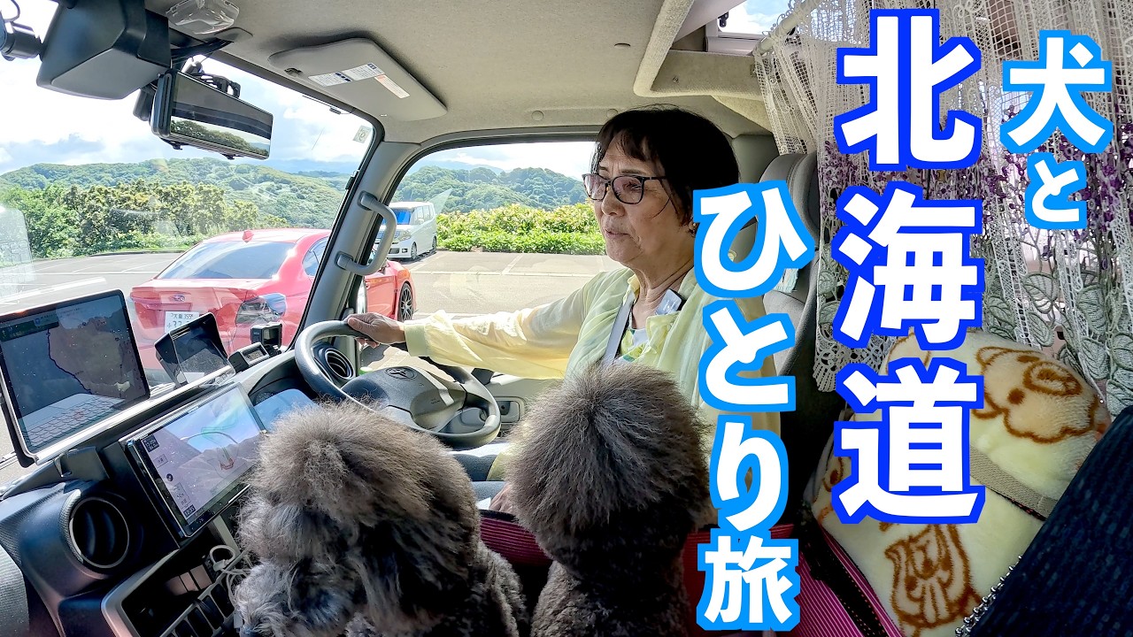 犬と一緒に小樽人力車＆お寿司✨雨の車中泊と岬めぐり【北海道キャンピングカー旅】