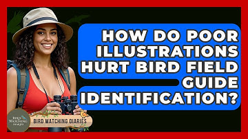 How Do Poor Illustrations Hurt Bird Field Guide Identification? - Bird Watching Diaries