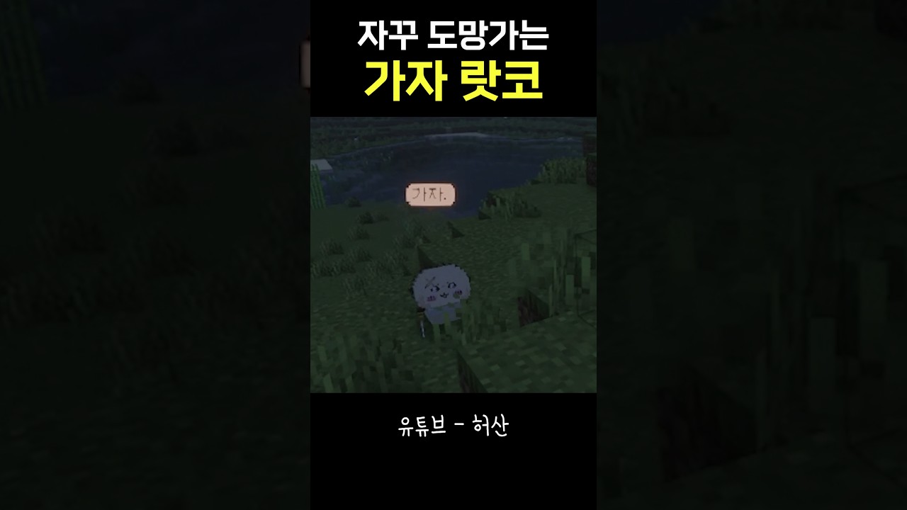 선우정아 랏코