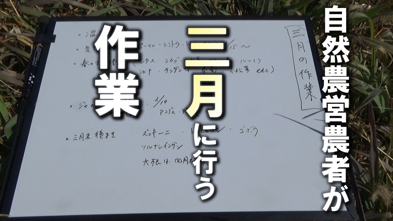 【自然農】自然農営農者の3月の農作業　2026年2月19日【natural farming】