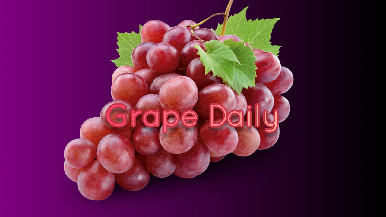 Grape Daily (LIVE) YouTube
