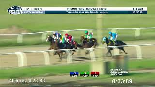 Vidéo de la course PMU PRIX PREMIO PERDIZERO KEY 2016