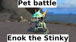 Enok The Stinky - Pet Battle - 2 Pets Only - Easy - Wow - Dragonflight