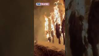 Powerful Lightening Strikes Sparks Fire