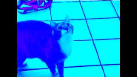 Shortest Video On YouTube Parts (1-100) in Power