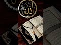 Allah #peace #mtjofficial #love #completebayan #tariqjamilofficial #molanatariqjameel #duet #tare