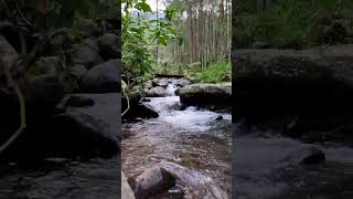 original aja #viralvideo #youtube #youtubeshorts #video #adventure