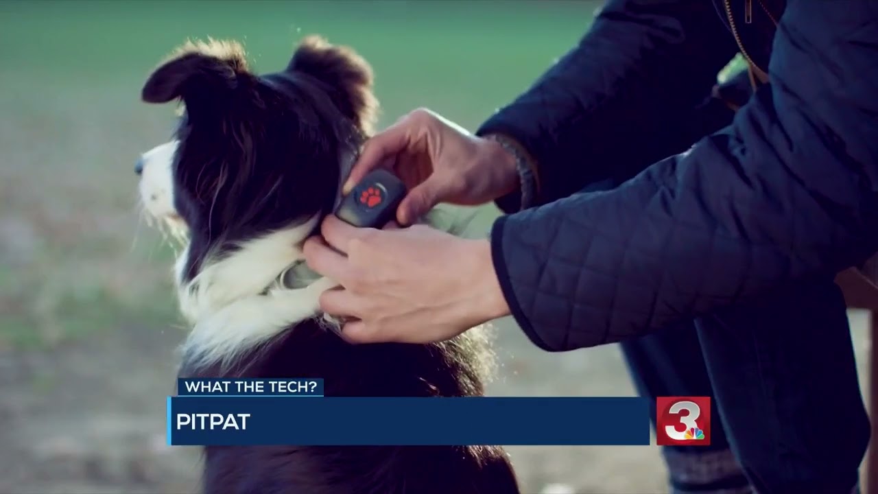 WHAT THE TECH? Gadgets featured at CES 2022