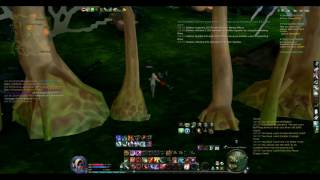 Aion - Siel - Cardan and Atirador using radar hack or some like that