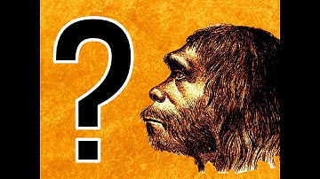 What if Neanderthals Didn