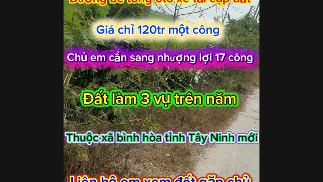 Một sản phẩm đẹp giá rẻ đầu tư hoặc định cư thuộc xã bình hòa tỉnh Tây ninh mới lh0859751080