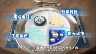 【招商投资促进局】2026年招商引资宣传片 │ 2026 IPIM Investment Promotion Video