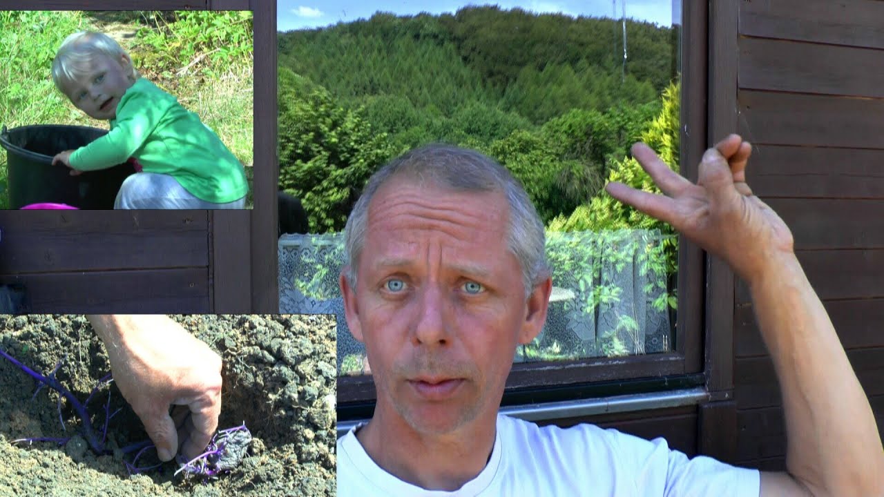 Neues Zu Hause Neuer Garten Youtube