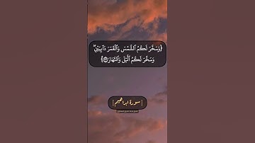 سورة ابراهيم الآية ٣٢ الى ٣٤ بصوت الشيخ محمد صديق المنشاوي