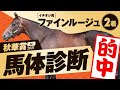 【秋華賞 2021】桜花賞で8番人気3着馬推奨！打倒ソダシでいざ牝馬三冠完全的中へ！某大手牧場の元スタッフが見抜くGIイチオシ馬体！GIフォトパドック【競馬 予想】