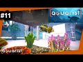 Fernsehstudio mit Aquarium🐠 Aquarist Deutsch #11 - [2023]