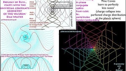 Dan Winter:Cohering the `Vacuum/Zero Point Energy:Technology and the BIOLOGY of BLISS