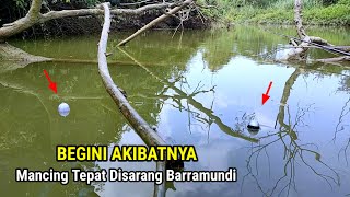 BEGINI AKIBATNYA! Mancing Kakap Sungai Tepat Di Sarangnya