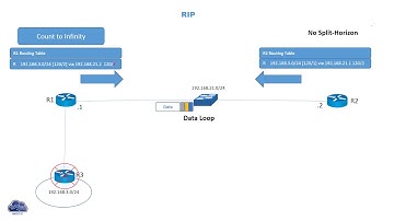 Count to Infinity Loop