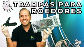 Conociendo las mejores trampas de ratas y roedores