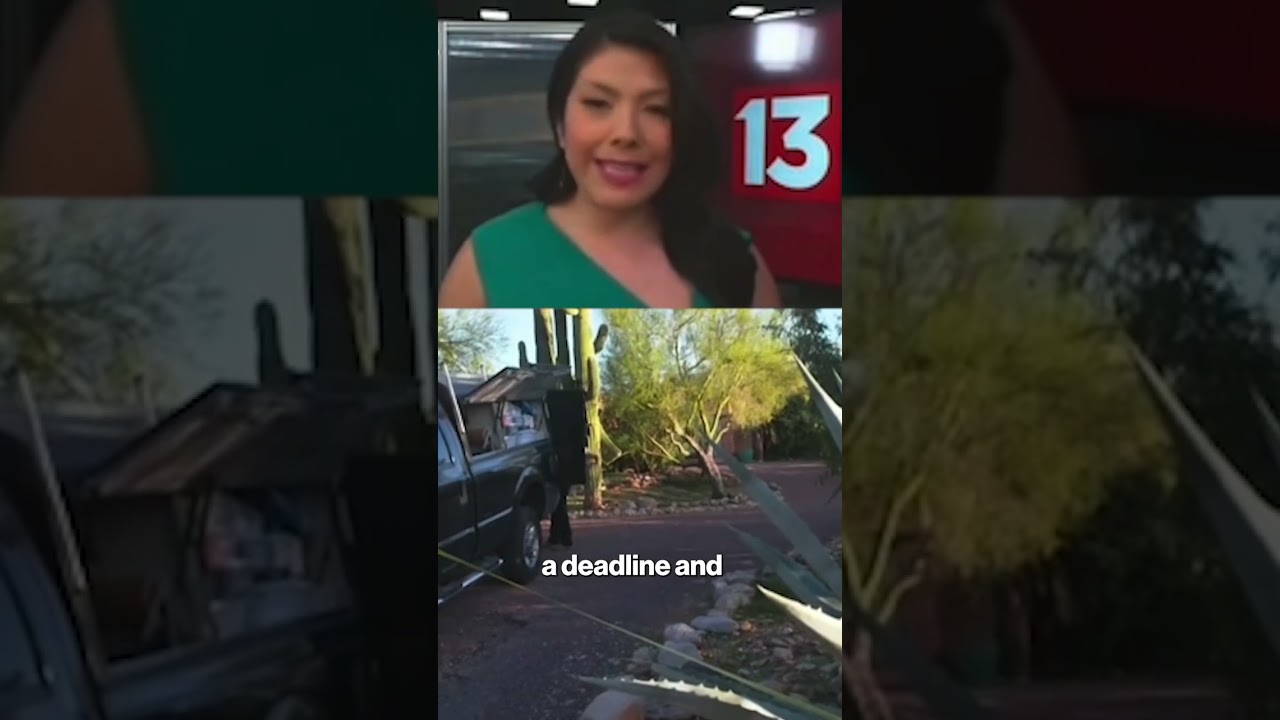 Anchor explains why she knew ransom note 'might not be hoax' 