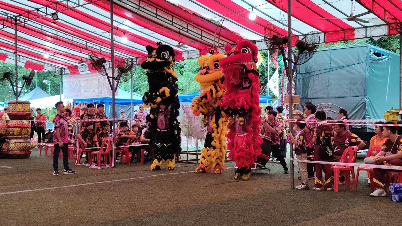 【4K Video】#观摩会纪录片 #参拜 #群劲 #群艺 #金狮 #艺鸿 #士古来艺鸿龙狮体育会 #舞狮【#中华文化观摩交流会 #千年文化薪火相传 #桂峰园玄上坛 #玄天上帝 #宝诞千秋】