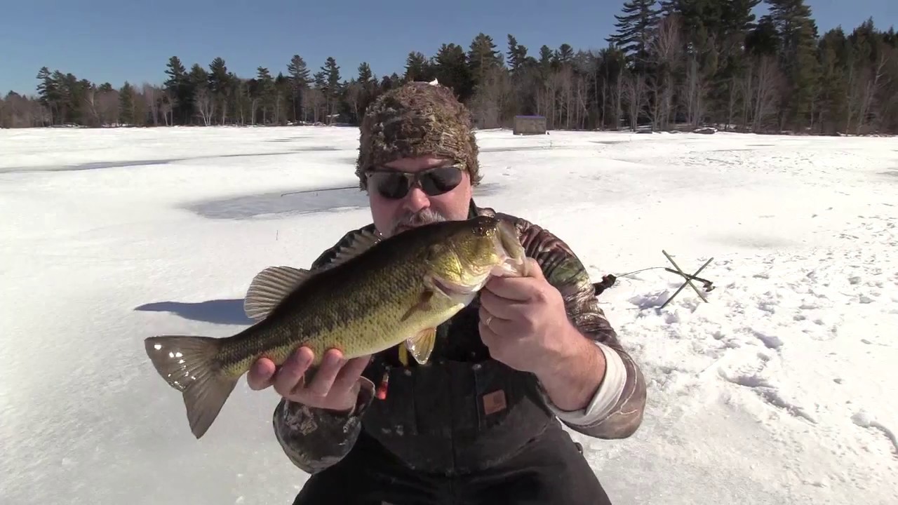 Ice fishing and jigging a largemouth bass YouTube