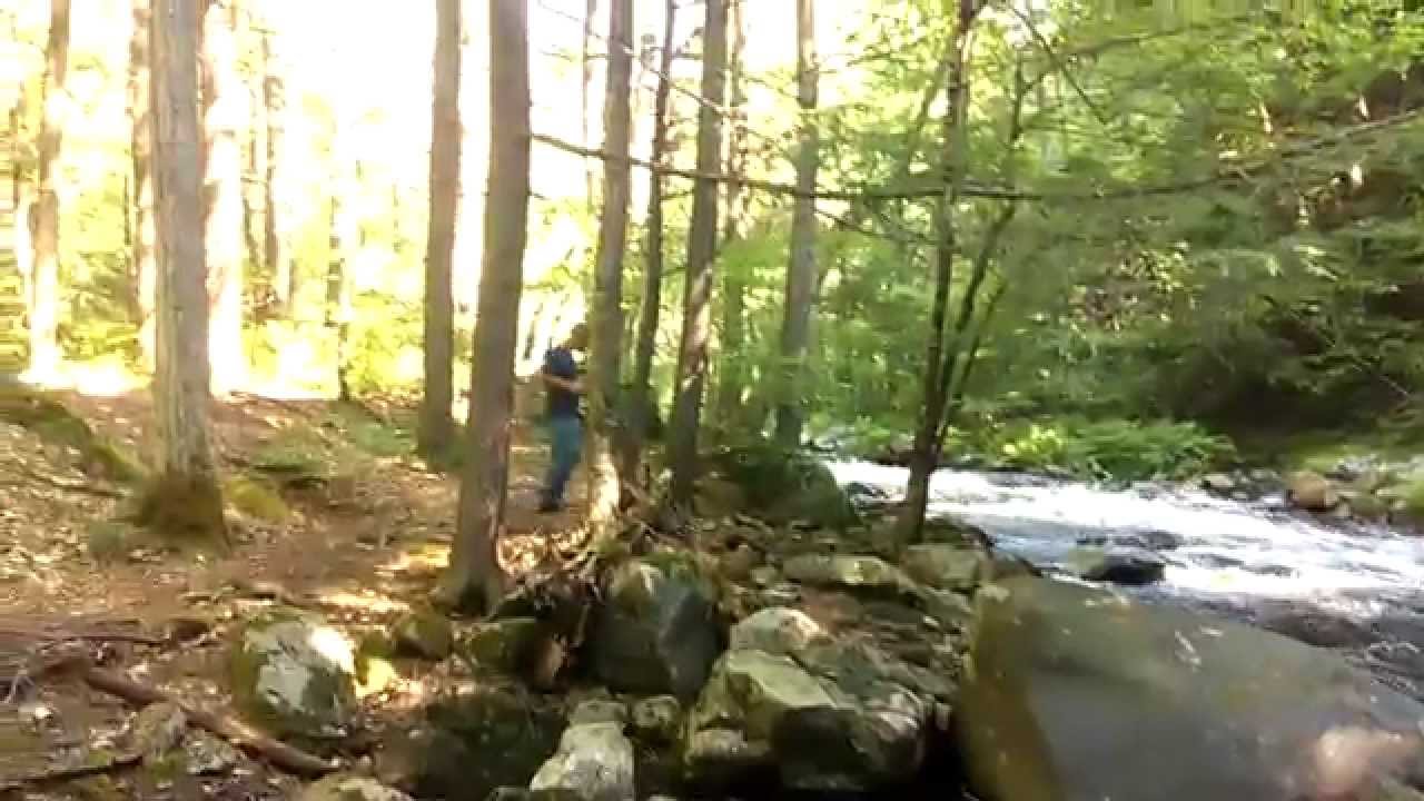 Dead branch,Indian Hollow Road. Chesterfield,Ma. YouTube