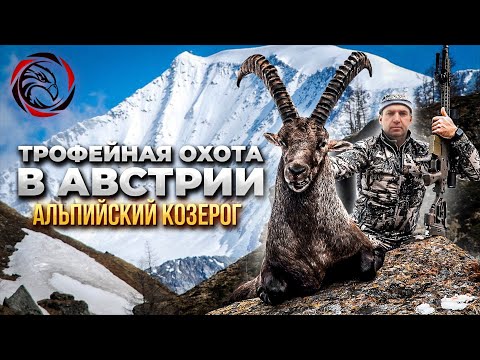 ТРОФЕЙНАЯ ОХОТА В АВСТРИИ. АЛЬПИЙСКИЙ КОЗЕРОГ