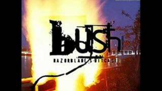 bush distant voices bootleg rare