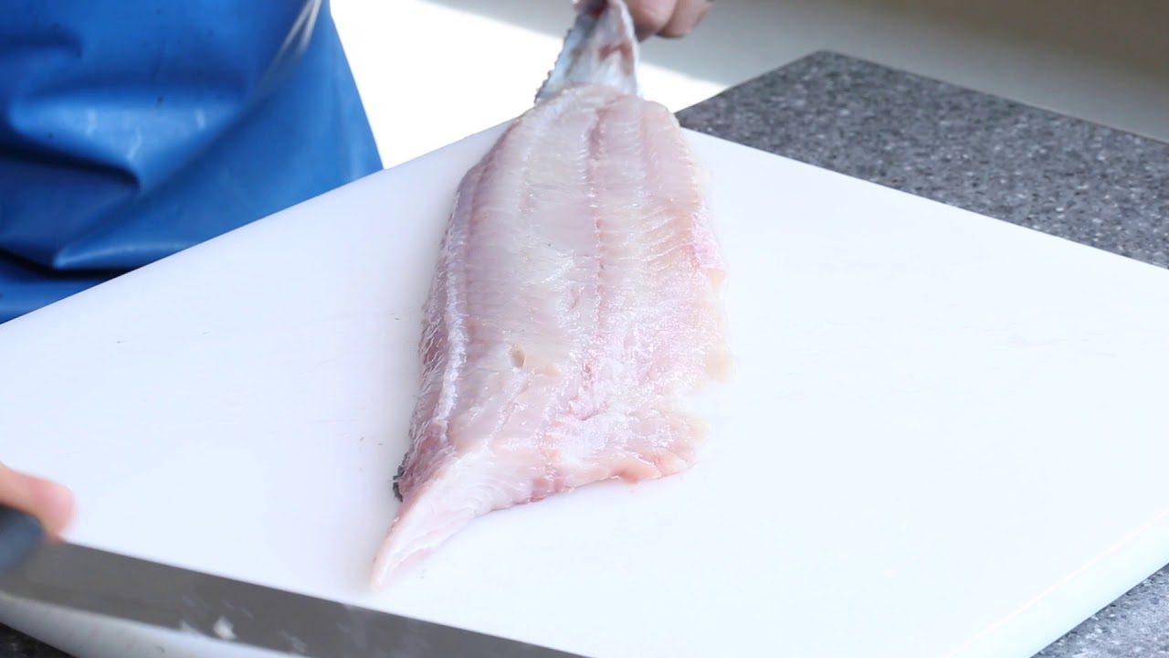 Master Fishmonger Standard Guide to J Cut Filleting Coley YouTube
