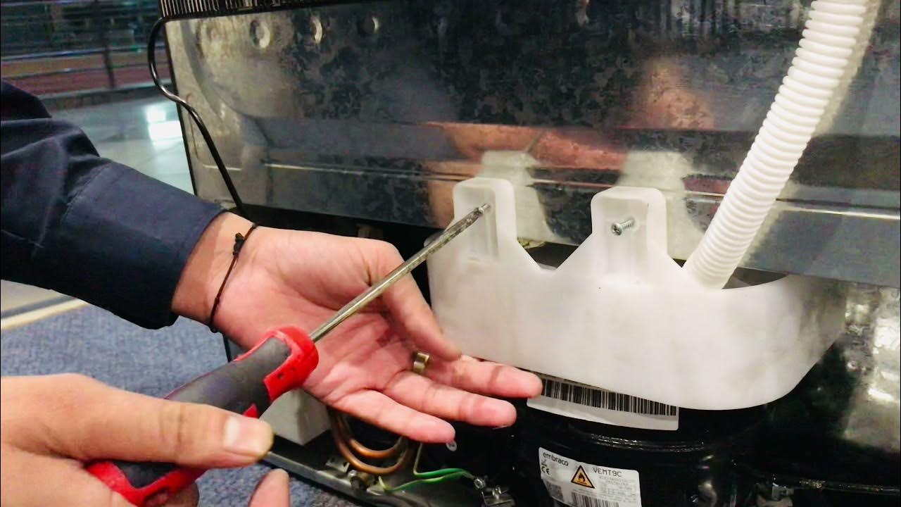 How to clean HAIER Refrigerator drain tray YouTube