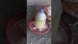 how to make homemade chicken feeders #chickenfeeder #chickendrinker #comederoybebedero