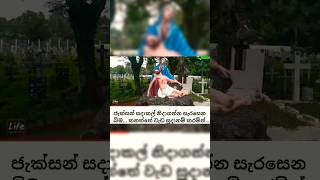 shortvideo ??.ජැක්සන් සාදාකල් නිදා ගන්න සැරසේන කනතු බිම..srilanka trending