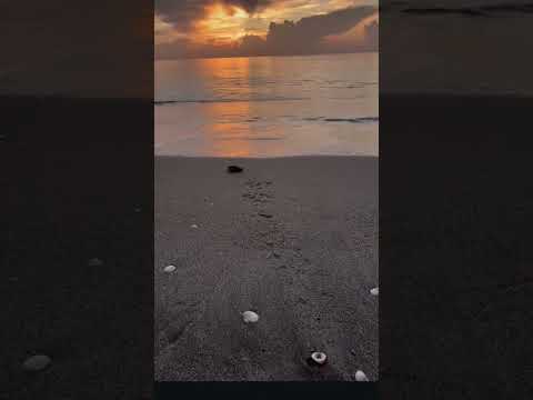 #beach #solo #flowers