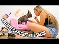 Giving my dog the ULTIMATE MAKEOVER! Bath, nails, outfit & ATTITUDE