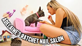 Giving my dog the ULTIMATE MAKEOVER! Bath, nails, outfit & ATTITUDE