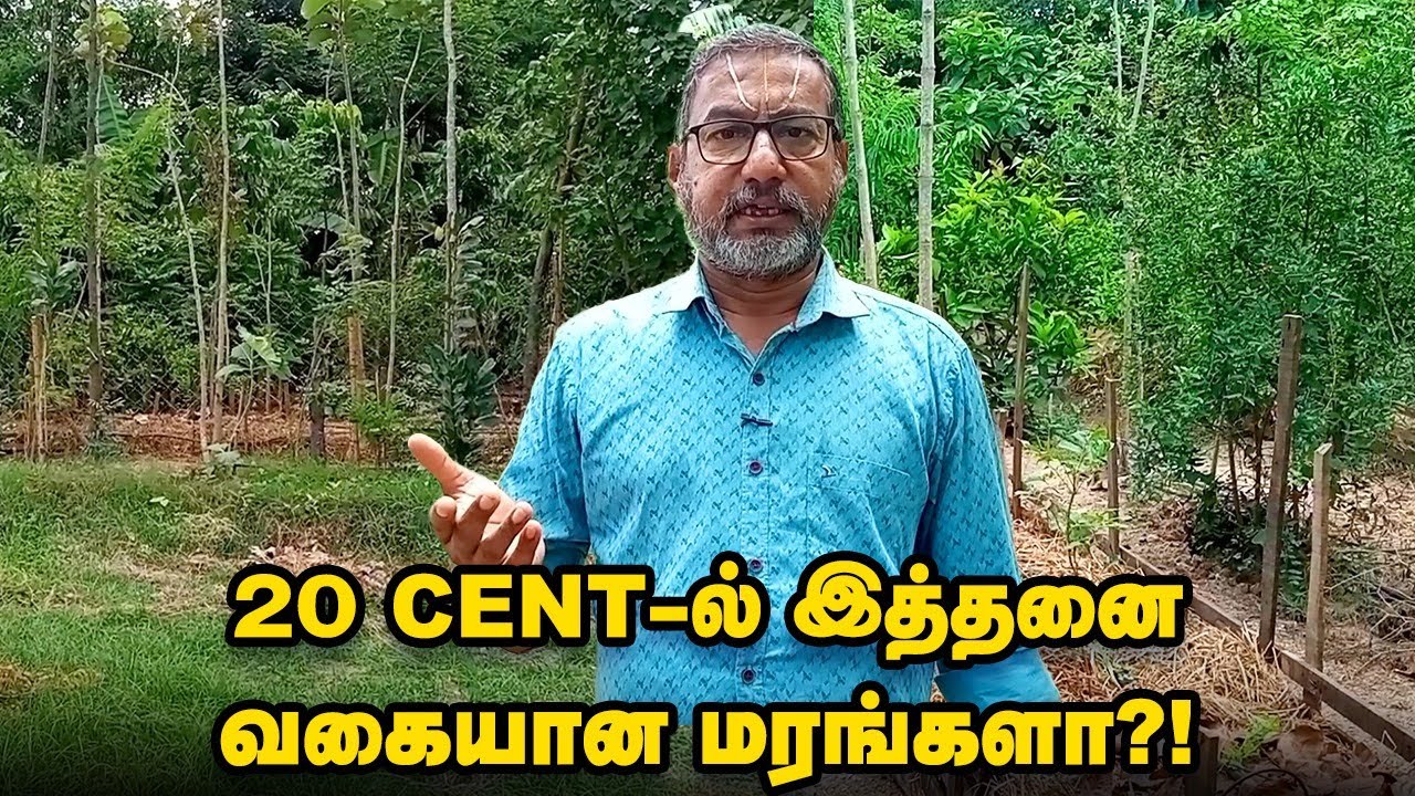 சிறிய இடம்... பெரிய பலன் | 20  Cent -ல் உணவுக்காடு | Food Forest