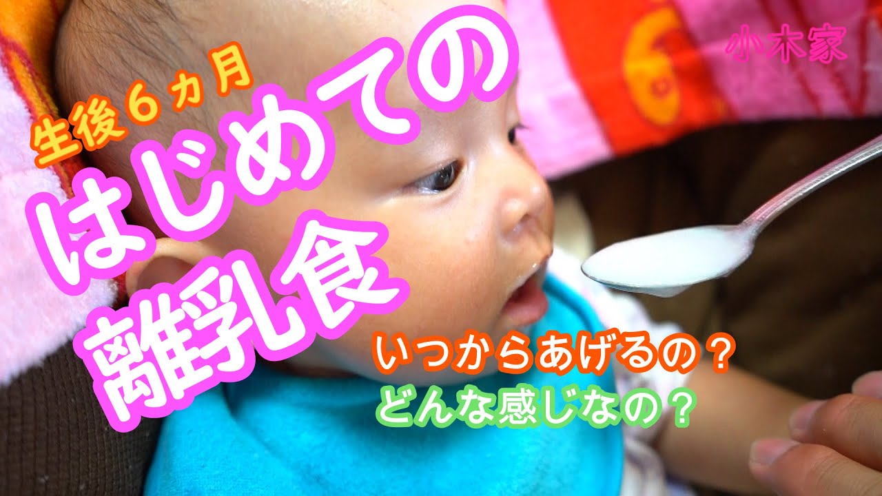 離乳食 だけ いつから