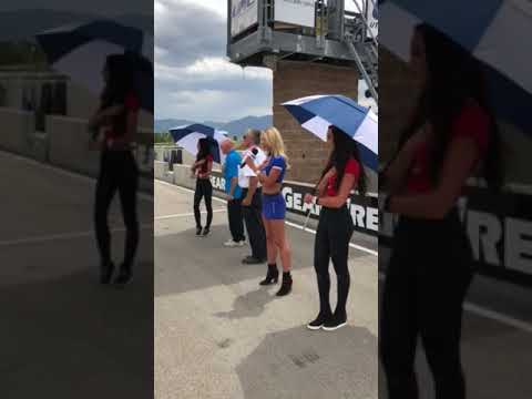 Savannah Lynx Sings the National Anthem