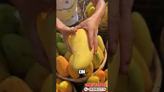 🥭Cómo Asegurar un Amarre Espectacular en Mango: Combo Floración #viral #plantas